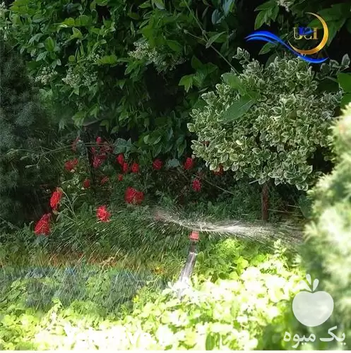 اجرای تخصصی مهندسی آبیاری قطره ای در تهران در گروه سازنده در یکمیوه -عکس1