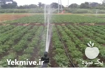 طراحی و اجرای آبیاری اتوماتیک فضای در گروه سازنده در یکمیوه -عکس1