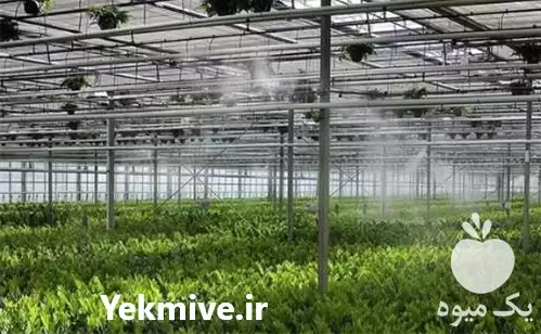 آبیاری قطره ای در ساری در گروه خرید و فروش اتصالات و تجهیزات آبیاری در یکمیوه -عکس1