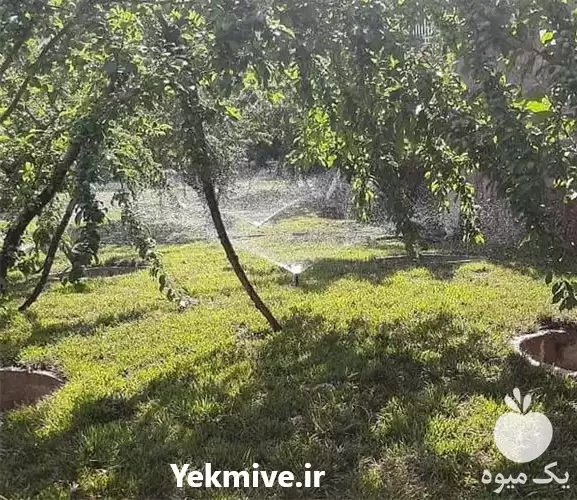 خدمات آبیاری قطره ای انواع سیستم در کرج در گروه خرید و فروش اتصالات و تجهیزات آبیاری در یکمیوه -عکس1