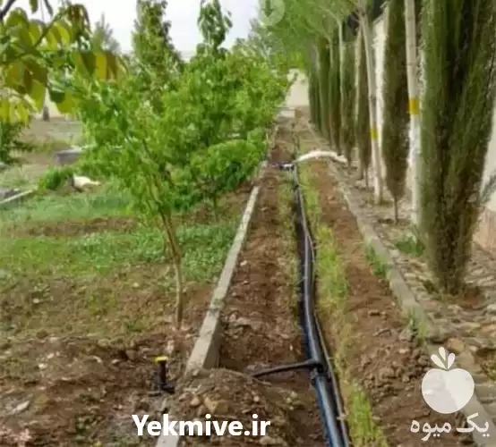 مشاوره سیستم آبیاری طراحی اجرا توسط در کرج در گروه سازنده در یکمیوه -عکس1