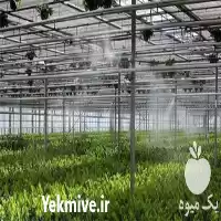 آبیاری قطره ای در ساری در گروه خرید و فروش اتصالات و تجهیزات آبیاری در یکمیوه