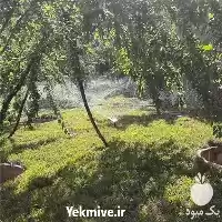 خدمات آبیاری قطره ای انواع سیستم در کرج در گروه خرید و فروش اتصالات و تجهیزات آبیاری در یکمیوه