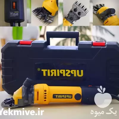 خرید پشم چین گوسفند در گروه گاو و گوسفند و میش و بز کهره گوساله در یکمیوه -عکس1