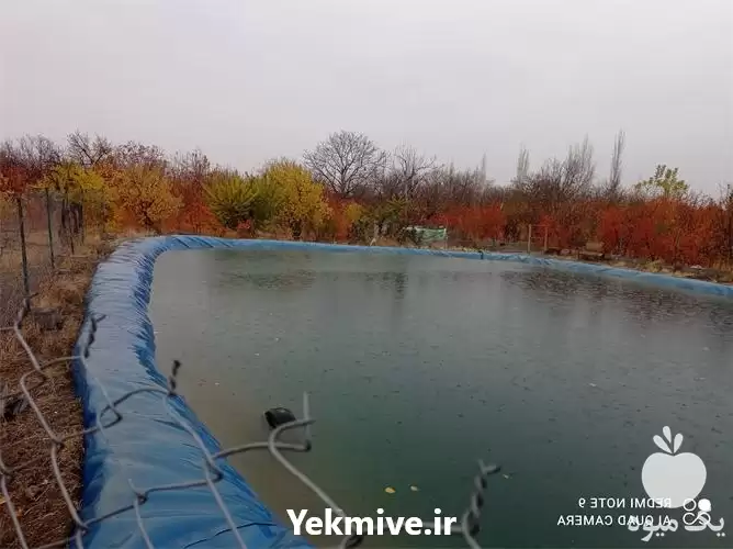 فروش با کیفیت ترین ورق در تبریز در گروه خرید و فروش استخر کشاورزی در یکمیوه -عکس1