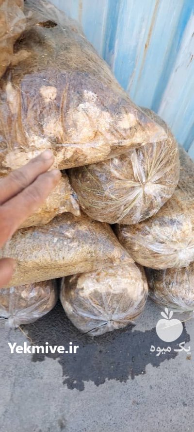 فروش کمپوست آماده قارچ صدفی در گروه خرید و فروش کود کمپوست در یکمیوه -عکس1