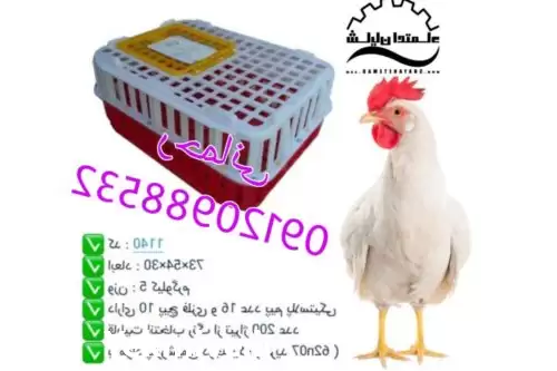 قیمت خرید سبد حمل مرغ در ساری در گروه خرید و فروش انواع سبد در یکمیوه -عکس1