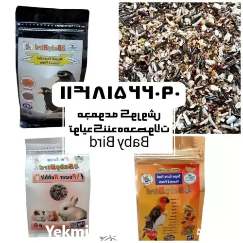 فروش مجموعه کوروش تولید کننده خوراک در تهران در گروه مرغ و خروس و بوقلمون و اردک قو قاز در یکمیوه -عکس1