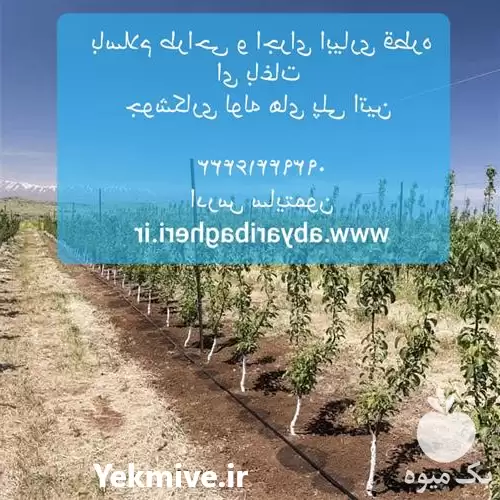 قیمت خرید طراحی اجرای آبیاری قطره در زنجان در گروه خرید و فروش دستگاه آبیاری در یکمیوه -عکس1