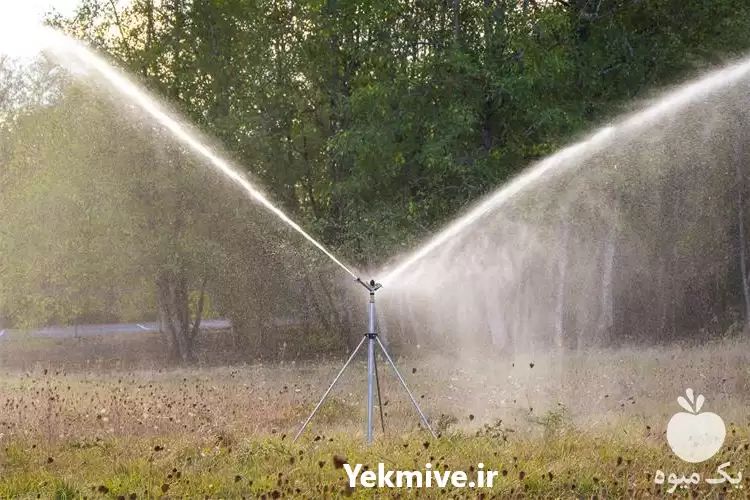 فروش انواع آبپاش های آمبو پروت در گروه خرید و فروش آبپاش کشاورزی در یکمیوه -عکس1