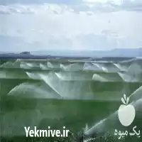 فروش طراحی آبیاری بارانی تحت فشار در گروه خرید و فروش دستگاه آبیاری در یکمیوه