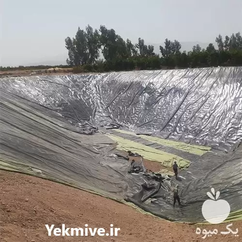 قیمت خرید طراحی اجرای استخر پلی در شیراز در گروه خرید و فروش ژئوممبران و ژئوتکستایل در یکمیوه -عکس1