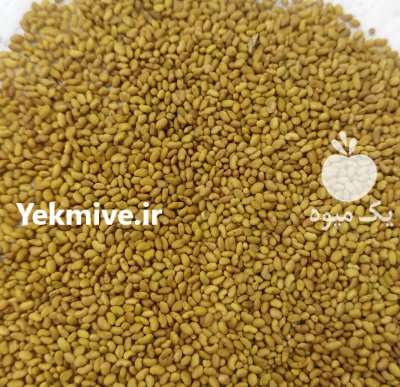 فروش بذر تخمه آفتابگردان اس 400 در کرمانشاه در گروه خرید و فروش انواع تخمه در یکمیوه -عکس1