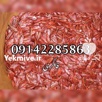 فروش بذر تخمه آفتابگردان اس 400 در کرمانشاه در گروه خرید و فروش انواع تخمه در یکمیوه -عکس2