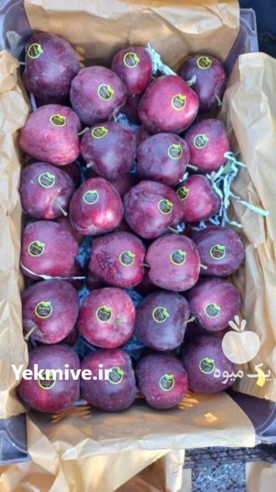 سیب درختی قرمز سوپر ممتاز یک در تبریز در گروه خرید و فروش سیب در یکمیوه -عکس1