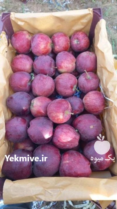 سیب درختی قرمز سوپر ممتاز یک در تبریز در گروه خرید و فروش سیب در یکمیوه -عکس2