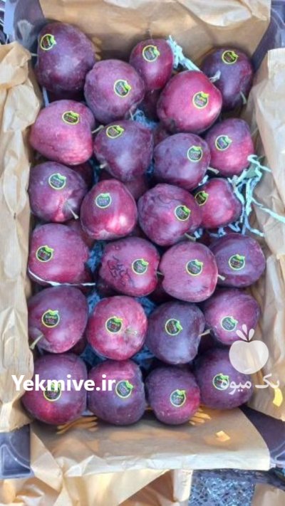 سیب درختی قرمز سوپر ممتاز یک در تبریز در گروه خرید و فروش سیب در یکمیوه -عکس3