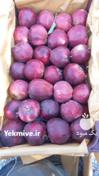 سیب درختی قرمز سوپر ممتاز یک در تبریز در گروه خرید و فروش سیب در یکمیوه -عکس4