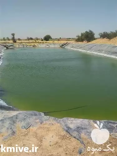 فروش استخرهای پلیمری ژئوممبران در شیراز در گروه خرید و فروش ژئوممبران و ژئوتکستایل در یکمیوه -عکس1