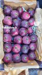 سیب درختی قرمز سوپر ممتاز یک در تبریز در گروه خرید و فروش سیب در یکمیوه