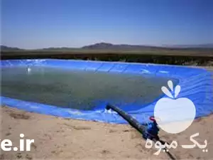 قیمت خرید استخر پلی اتیلن ژئوممبران در کرمان  در گروه خرید و فروش ژئوممبران و ژئوتکستایل در یکمیوه -عکس1