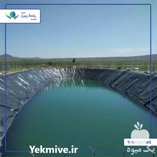قیمت خرید مجری استخرهای پلیمری کشاورزی در یزد در گروه خرید و فروش ژئوممبران و ژئوتکستایل در یکمیوه -عکس1