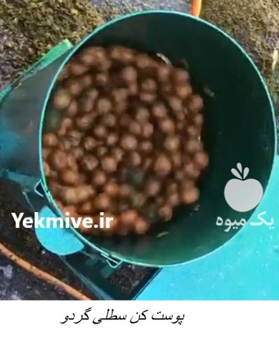پوست کن سطلی بادام و گردو در اسیر در گروه خرید و فروش دستگاه کشاورزی در یکمیوه -عکس1
