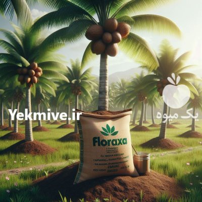 کوکوپیت سریلانکایی شستشو شده آماده مصرف در گروه خرید و فروش انواع کود کشاورزی در یکمیوه -عکس3