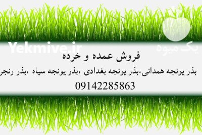 فروش انواع بذر یونجه و علوفه در پلدشت در گروه خرید و فروش بذر یونجه در یکمیوه -عکس1