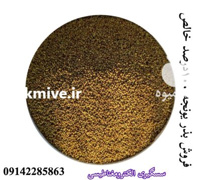 فروش انواع بذر یونجه و علوفه در پلدشت در گروه خرید و فروش بذر یونجه در یکمیوه -عکس3