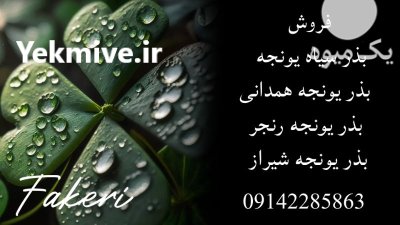 فروش بذر یونجه گرمسیری در حاجی آباد در گروه خرید و فروش بذر یونجه در یکمیوه -عکس3