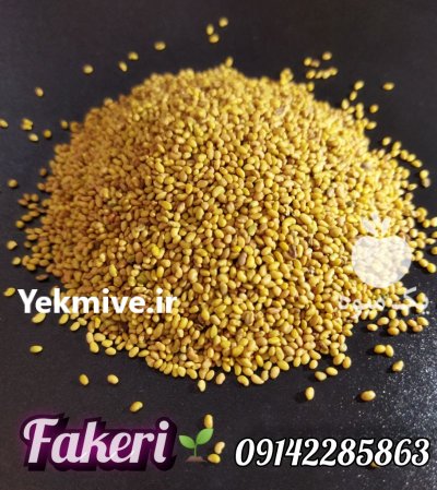 فروش بذر و سردسیری و معتدل در سقز در گروه خرید و فروش بذر یونجه در یکمیوه -عکس2