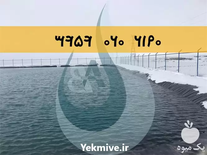 فروش استخر کشاورزی ژئوممبران استخر ذخیره در مشهد در گروه خرید و فروش ژئوممبران و ژئوتکستایل در یکمیوه -عکس1