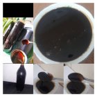 فروش رب انار خالص خونگی در شیراز در گروه خرید و فروش رب در یکمیوه