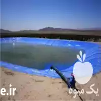قیمت خرید استخر پلی اتیلن ژئوممبران در کرمان  در گروه خرید و فروش ژئوممبران و ژئوتکستایل در یکمیوه