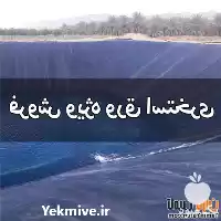 قیمت خرید ویژه ورق استخری در تهران در گروه خرید و فروش ژئوممبران و ژئوتکستایل در یکمیوه