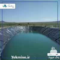 قیمت خرید مجری استخرهای پلیمری کشاورزی در یزد در گروه خرید و فروش ژئوممبران و ژئوتکستایل در یکمیوه
