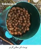 پوست کن سطلی بادام و گردو در اسیر در گروه خرید و فروش دستگاه کشاورزی در یکمیوه