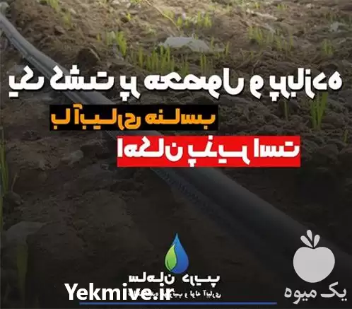 قیمت خرید نوار تیپ بغل زیپ در تهران در گروه خرید و فروش نوار تیپ در یکمیوه -عکس1