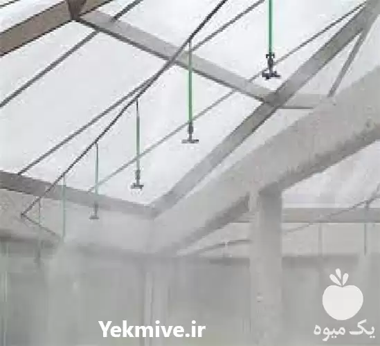 مه پاش و پودر پاش در گروه سازنده در یکمیوه -عکس1