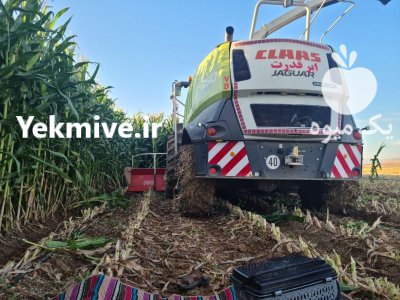 چاپر یدک در اسلامشهر در گروه خرید و فروش چاپر در یکمیوه -عکس4