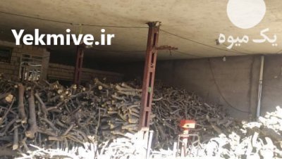 فروش چوب انجیر در پلدختر در گروه خرید و فروش انواع چوب در یکمیوه -عکس1