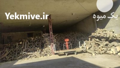 فروش چوب انجیر در پلدختر در گروه خرید و فروش انواع چوب در یکمیوه -عکس2