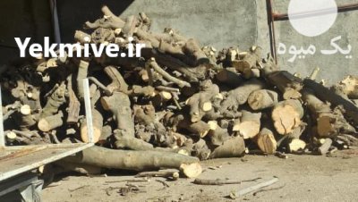 فروش چوب انجیر در پلدختر در گروه خرید و فروش انواع چوب در یکمیوه -عکس3