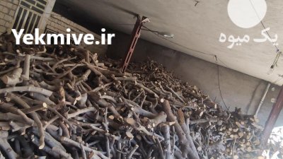 فروش چوب انجیر در پلدختر در گروه خرید و فروش انواع چوب در یکمیوه -عکس4