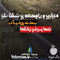 قیمت خرید نوار تیپ بغل زیپ در تهران در گروه خرید و فروش نوار تیپ در یکمیوه