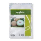 بذر ملون گالیا در گروه خرید و فروش بذر ملون در یکمیوه