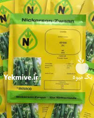 بذر خیار گلخانه ای کیهان نیکرسون در زاهدان در گروه خرید و فروش بذر خیار در یکمیوه -عکس1