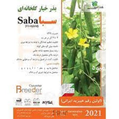 بذر خیار گلخانه ای سبا در گروه خرید و فروش بذر خیار در یکمیوه -عکس1