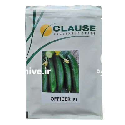 بذر خیار آفیسر کلوز در باقرشهر در گروه خرید و فروش بذر خیار در یکمیوه -عکس1